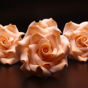 Peach Colored Rose