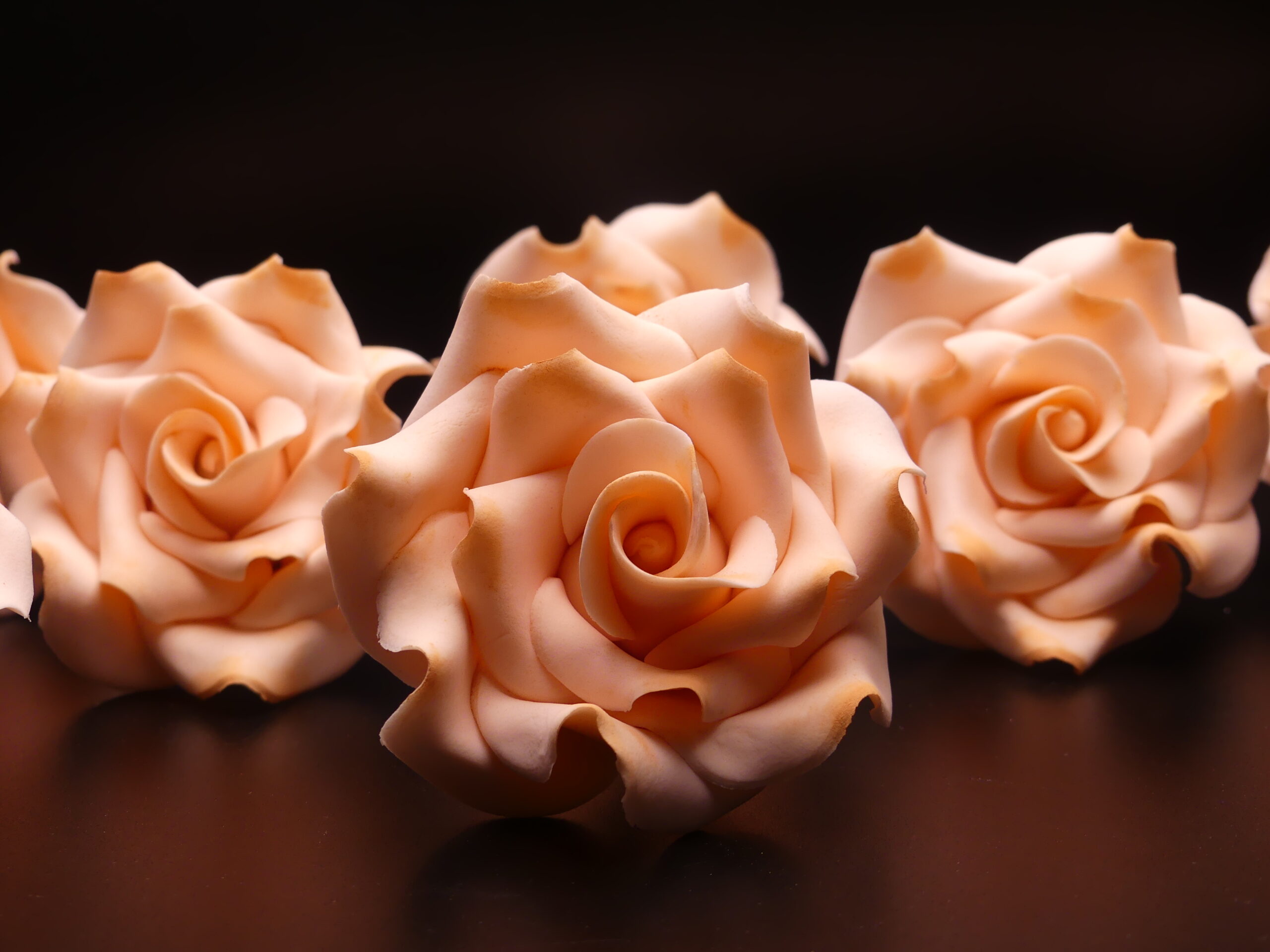 Peach Colored Rose
